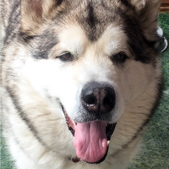 Meet your Posher, Jay - Picture 3 of 3